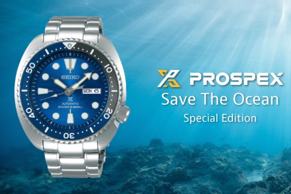 Save The Ocean 2019 Great White Shark edition – csúcsragadozók a mélyből